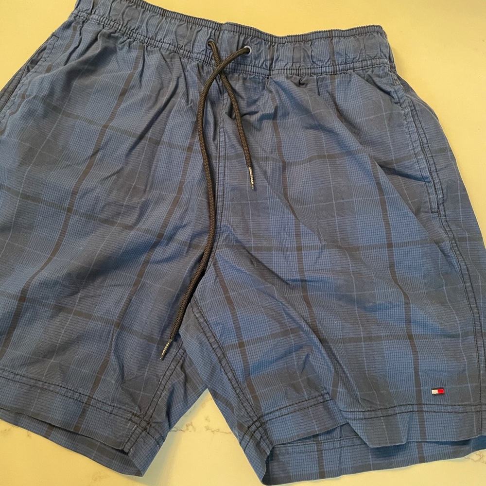 Tommy Hilfiger Blue Plaid Men’s (M)